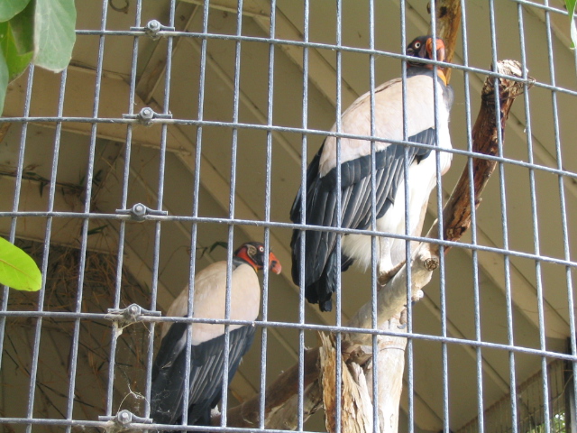 618x457 pixels (198K)